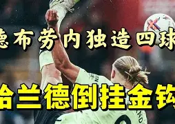 雷速直播- 哈兰德视频 